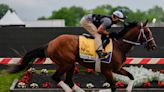Preakness Stakes 2024: Odds, live updates, draw, horses and more from the 149th running of the race from Pimlico