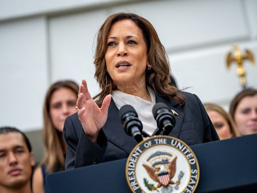 Kamala Harris uses Trump mugshot in first election ad