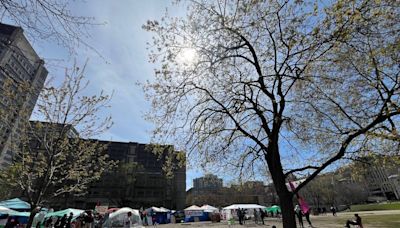 McGill encampment supporters reflect on the ups and downs of a week in protest