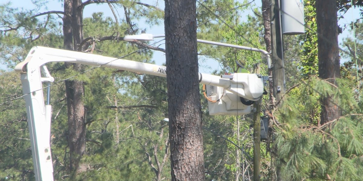 Officials warning residents against unlicensed tree companies amidst storm damage cleanup