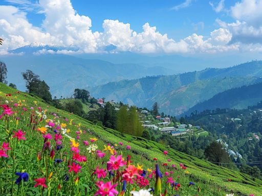 Discover Darjeeling: 10 Best Family-Friendly Activities For A Memorable Vacation