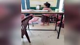 Video | Video Shows Students Fanning Teacher In UP School. Then A Clarification