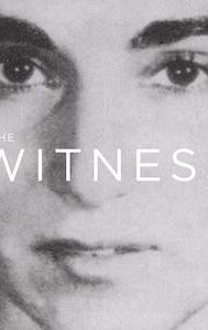 The Witness (2015 American film)