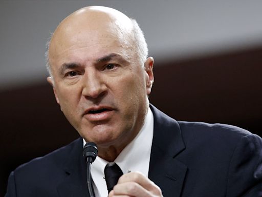 Kevin O'Leary warns student protesters are 'trashing' job chances by fighting police, vandalizing school