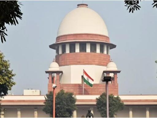 Supreme Court to revisit same-sex marriage ruling on July 10 | India News - Times of India