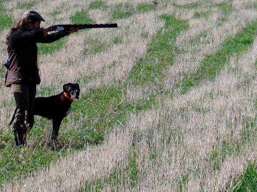 Una mujer que estaba en el jardín de su casa recibe un perdigonazo en la frente por parte de un hombre que cazaba en las proximidades