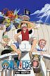 One Piece (film)