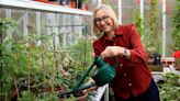 Cath Kidston: ‘I love to see things growing all year round. But I’m not a good gardener’