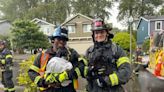 Pets rescued in Kent house fire