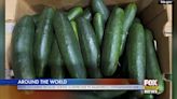 Cucumbers Recalled Across 14 States Including North And South Carolina - WFXB