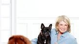 Martha Stewart Just Dropped Her Own Pet Food Line at Chewy & Prices Start at Just $20