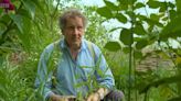 Monty Don fans question his new garden addition