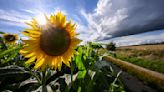 Sommerwetter hält nicht lange