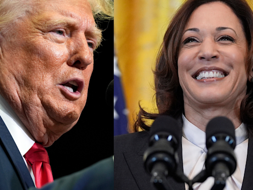 Kamala Harris vs Donald Trump: Who Has Better Approval Ratings? Latest Data Here