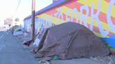 Red-carpet screening for homeless crisis documentary held at Roseville Galleria