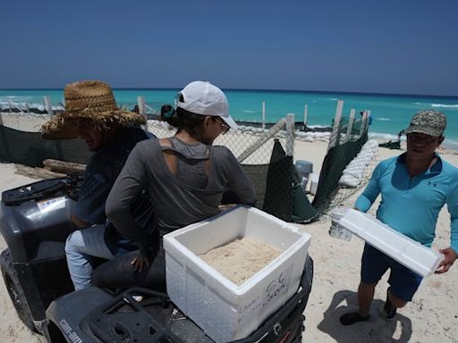 Hurricane Beryl makes landfall in Mexico, heads to Texas