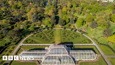 Kew Gardens says it could lose half its trees due to climate change