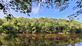 On This Day, Nov. 10: Congress establishes Congaree National Park