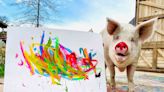 This Farm Animal Sanctuary Is Also a Hotel — and Its Resident Pig Is a World-famous Artist