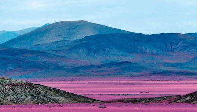 Y Atacama despertó