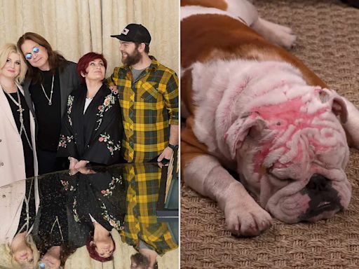The Osbourne Family Adopts a Dog That Was 'Severely Burned': He's 'the Most Beautiful Thing'