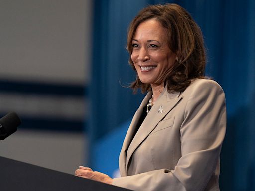 CNN commentator blasts Kamala Harris for working to ‘erase all evidence’ she was border czar