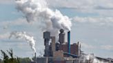 Northern Pulp considers producing electricity from trees downed by Fiona