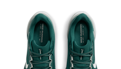 Nike releases new Philadelphia Eagles sneaker, check out the 2024 Nike Air Zoom Pegasus 41 shoe