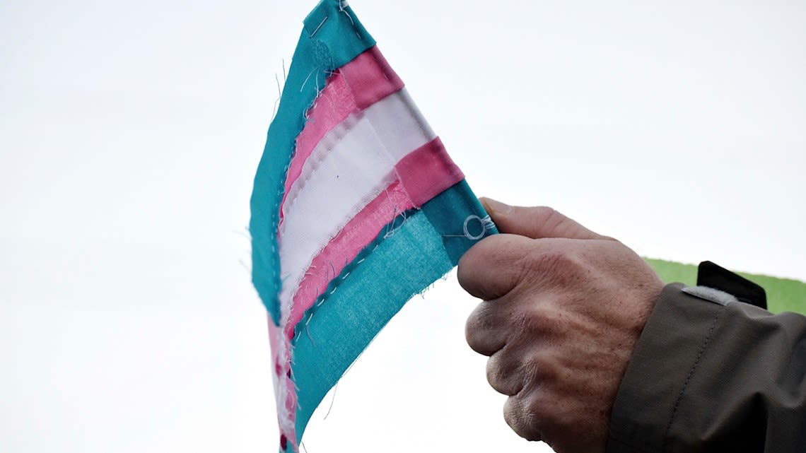 US Supreme Court to hear arguments over Tennessee law restricting access to gender-affirming care for trans youth