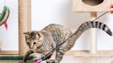 Wayfair’s Epic Black Friday Sale Includes Unbeatable Deals on Cat Trees, Feeders, Toys & More