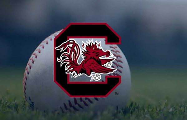 South Carolina baseball team drops second straight game to Georgia