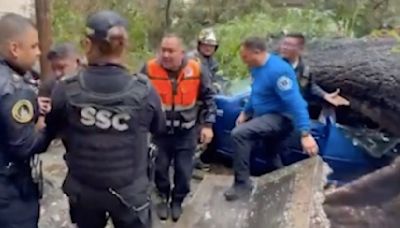 FOTOS: Esposo de mujer que murió aplastada por árbol en la Nápoles, bajó antes del auto