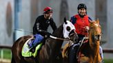 Why was 2023 Kentucky Derby contender Wild On Ice euthanized? Here's how decisions are made
