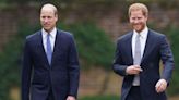 Prince Harry and Prince William fought 'dirty' and 'meant it'