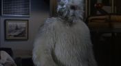 18. The Abominable Snowman