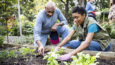 Gardener shares vegetables to plant now in July - 'last' chance