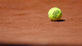 A French player at the French Open gets only a warning when his ball strikes a fan