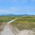 Año Nuevo State Park