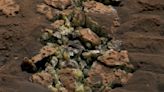 NASA’s Curiosity rover makes its ‘most unexpected’ find on Mars | CNN