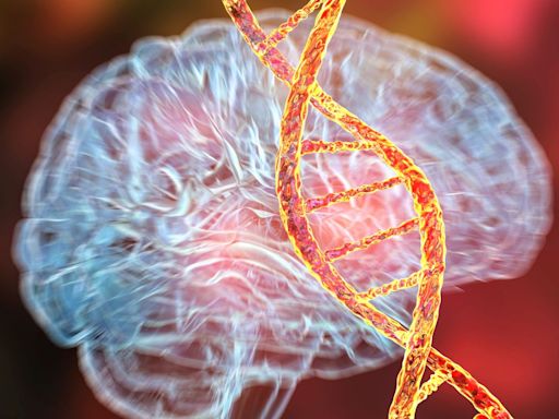 Alzheimer's Disease Risk Gene Could Actually Be Behind A "Distinct Genetic Form"