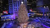 The 2022 Rockefeller Center Christmas Tree Has Been Chosen