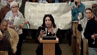 Pro-Palestinian activist in Syracuse told to step down after antisemitic posts surface, group says