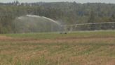 Climate change may force irrigation on P.E.I. potato farmers, says researcher