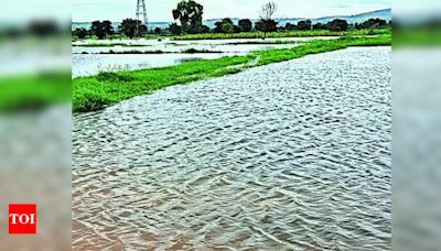 Heavy Rain Causes Chaos in Belagavi District | Hubballi News - Times of India