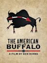 The American Buffalo