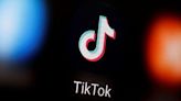 Tech platforms make pitch for ad deals as TikTok is roiled by politics