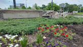 Rockford's Veterans Memorial Circle at roundabout damaged once again after car crash