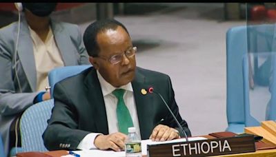 Nexos con Djibouti y protección económica centraron semana etíope - Noticias Prensa Latina