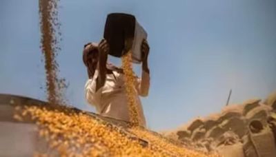 ‘Keeping Prices Stable Top Priority’: After Pulses, Centre Imposes Stock Limits On Wheat - News18