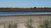 Investigadores detectan "presencia generalizada" de pesticidas, algunos prohibidos, en Doñana y las Tablas de Daimiel